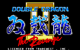 Double Dragon II